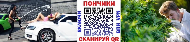 Где купить Кологрив ГАШИШ блэк спрут сайт Меф КЕТАМИН МАРИХУАНА APVP