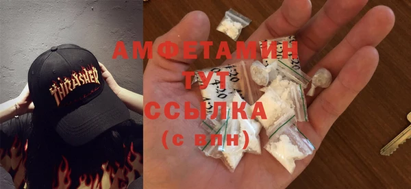 прущие грибы Беломорск