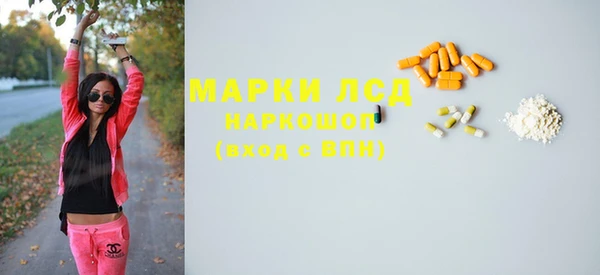 прущие грибы Беломорск