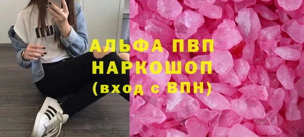 прущие грибы Беломорск