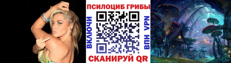 Галлюциногенные грибы Cubensis MEGA как войти Кологрив