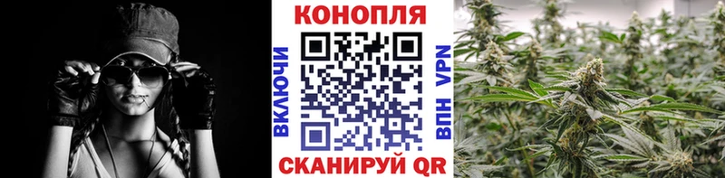 Шишки марихуана SATIVA & INDICA Кологрив
